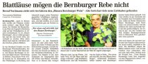 Pressebeitrag 'Blattläuse mögen die Bernburger Rebe nicht' MZ 04.08.2006
